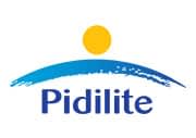 logo__0016_Pidilite_logo.svg